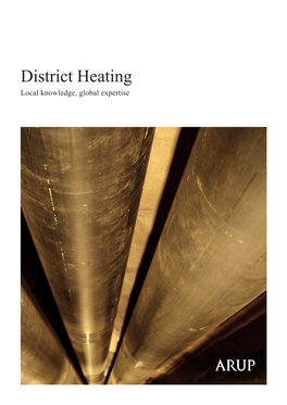 District Heating Local Knowledge, Global Expertise Understanding the Challenge