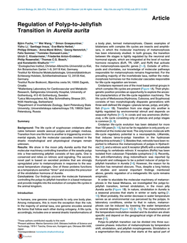 Regulation of Polyp-To-Jellyfish Transition in Aurelia Aurita