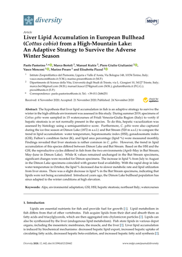 Liver Lipid Accumulation in European Bullhead (Cottus Cobio) from a High-Mountain Lake: an Adaptive Strategy to Survive the Adverse Winter Season