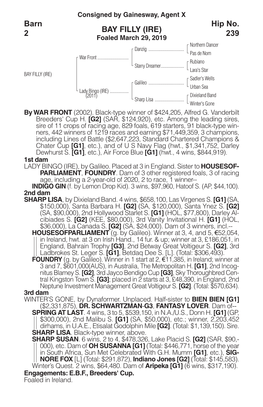 BAY FILLY (IRE) Barn 2 Hip No