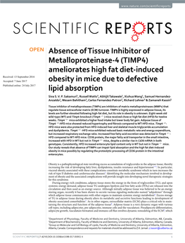 Absence of Tissue Inhibitor of Metalloproteinase-4 (TIMP4