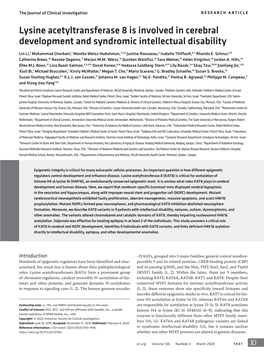 Lysine Acetyltransferase 8 Is Involved in Cerebral Development and Syndromic Intellectual Disability