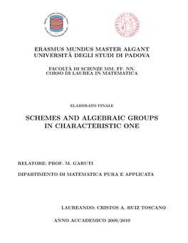 Schemes and Algebraic Groups in Characteristic One