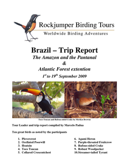 Brazil – Trip Report the Amazon and the Pantanal & Atlantic Forest Extention