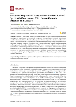 Review of Hepatitis E Virus in Rats: Evident Risk of Species Orthohepevirus C to Human Zoonotic Infection and Disease