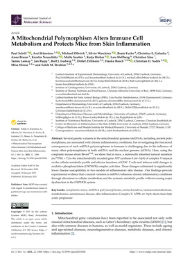 A Mitochondrial Polymorphism Alters Immune Cell Metabolism and Protects Mice from Skin Inﬂammation