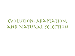 Evolution, Adaptation, and Natural Selection Think, Pair, Share