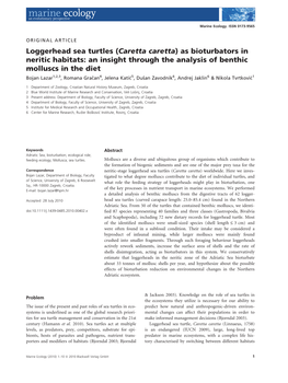 Loggerhead Sea Turtles (Caretta Caretta) As Bioturbators in Neritic