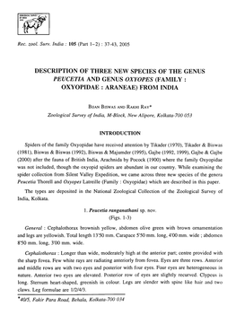 Peucetia and Genus Oxyopes (F Amil Y