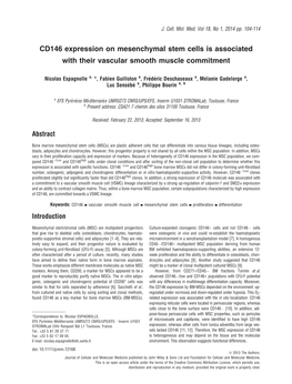 CD146 Expression on Mesenchymal Stem Cells Is Associated with Their Vascular Smooth Muscle Commitment