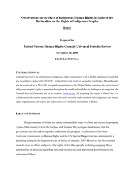 Observations on the State of Indigenous Human Rights in Light of the Declaration on the Rights of Indigenous Peoples