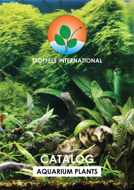 Catalog Aquarium Plants INDEX