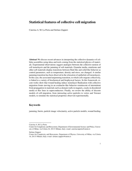 Statistical Features of Collective Cell Migration