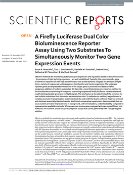 A Firefly Luciferase Dual Color Bioluminescence Reporter Assay