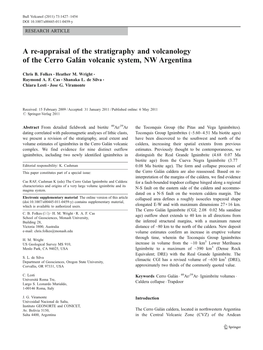 A Re-Appraisal of the Stratigraphy and Volcanology of the Cerro Galán Volcanic System, NW Argentina