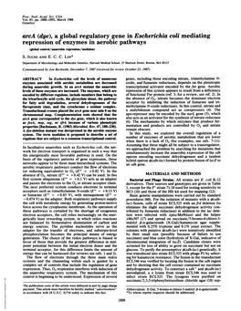 A Global Regulatory Genein Escherichia Coli Mediating