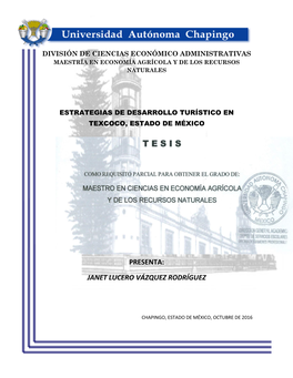 Estrategias De Desarrollo Turístico En Texcoco, Estado De México