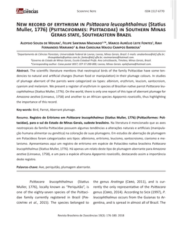 New Record of Erythrism in Psittacara Leucophthalmus (Statius Muller