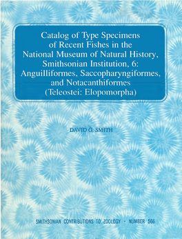 Anguilliformes, Saccopharyngiformes, and Notacanthiformes (Teleostei: Elopomorpha)