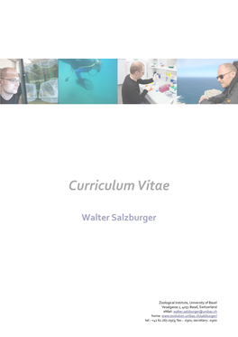 Curriculum Vitae