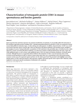 Characterization of Tetraspanin Protein CD81 in Mouse Spermatozoa and Bovine Gametes