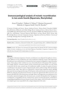 Immunocytological Analysis of Meiotic Recombination in Two Anole Lizards (Squamata, Dactyloidae)