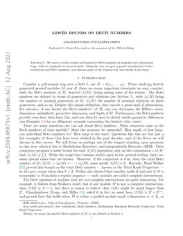 Lower Bounds on Betti Numbers And�  Present Some of the Motivation for These Conjectures