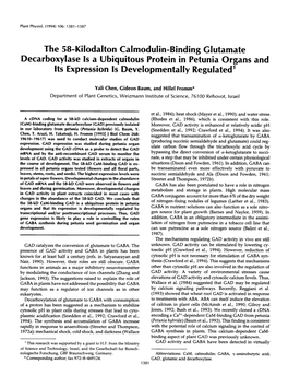 The 58-Kilodalton Calmodulin-Binding Glutamate Decarboxylase Is a Ubiquitous Protein in Petunia Organs and Its Expression Is Developmentally Regulated'