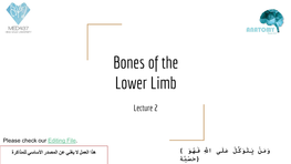 Bones of the Lower Limb