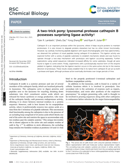 Lysosomal Protease Cathepsin B Possesses Surprising Ligase Activity† Cite This: RSC Chem