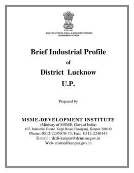 Brief Industrial Profile