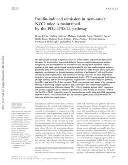 Insulin-Induced Remission in New-Onset NOD Mice Is Maintained