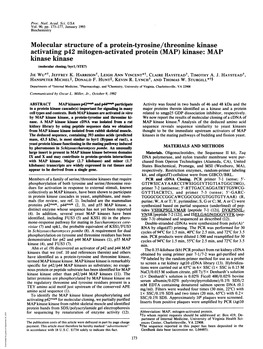 Molecular Structure of a Protein-Tyrosine/Threonine