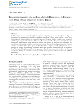 Taxonomic Identity of a Galling Adelgid (Hemiptera: Adelgidae) from Three