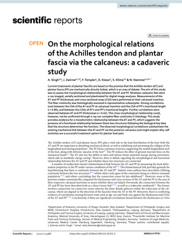 On the Morphological Relations of the Achilles Tendon and Plantar Fascia Via the Calcaneus: a Cadaveric Study A