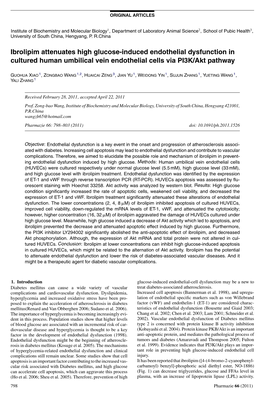 Ibrolipim Attenuates High Glucose-Induced Endothelial Dysfunction in Cultured Human Umbilical Vein Endothelial Cells Via PI3K/Akt Pathway