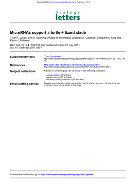 Micrornas Support a Turtle + Lizard Clade