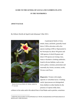 Lianas and Climbing Plants of the Neotropics: Apocynaceae