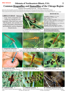 1 Common Dragonflies and Damselflies of the Chicago Region