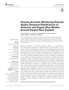 Passive Acoustic Monitoring Reveals Spatio-Temporal Distributions of Antarctic and Pygmy Blue Whales Around Central New Zealand