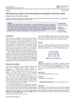 Mid-Cretaceous Cellular Slime Mold (Eukarya: Dictyostelia?) in Burmese Amber