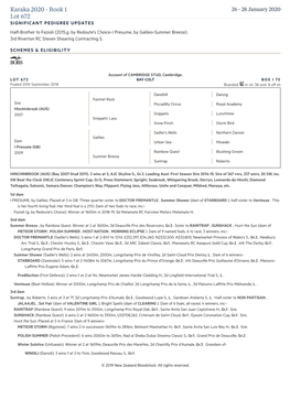 Karaka 2020 - Book 1 26 - 28 January 2020 Lot 672 SIGNIFICANT PEDIGREE UPDATES Half-Brother to Fazioli (2015.G