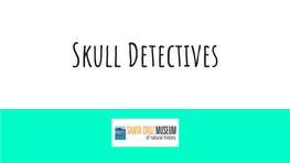 Skull Detectives Slideshow