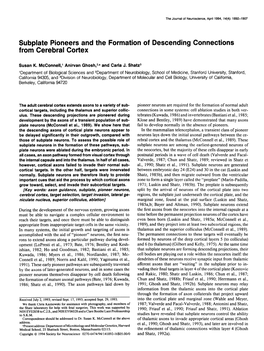 Subplate Pioneers and the Formation of Descending Connections from Cerebral Cortex