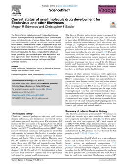 Current Status of Small Molecule Drug Development for Ebola Virus And