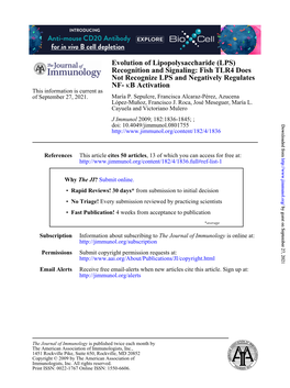 Fish TLR4 Does Evolution of Lipopolysa