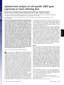 Systems-Level Analysis of Cell-Specific AQP2 Gene Expression in Renal Collecting Duct