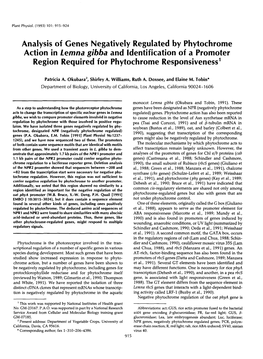 Analysis of Genes Negatively Regulated by Phytochrome Action in Lemna Gibba and Ldentification of a Promoter Region Required for Phytochrome Responsiveness’