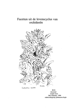 Facetten Uit De Levenscyclus Van Orchideeën