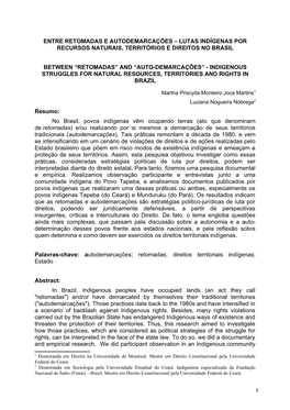 Entre Retomadas E Autodemarcações – Lutas Indígenas Por Recursos Naturais, Territórios E Direitos No Brasil